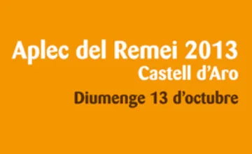 Rètol taronja: «Aplec del Remei 2013 · Castell d'Aro · Diumenge 13 d'octubre».